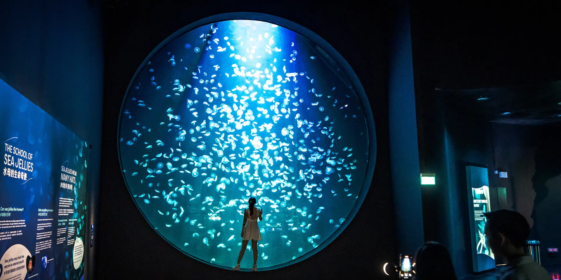 Ocean Wonders - Singapore Oceanarium - Resorts World Sentosa Singapore